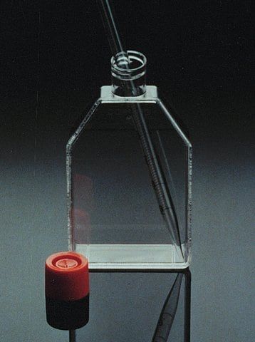 Corning<sup>®</sup> cell culture flasks