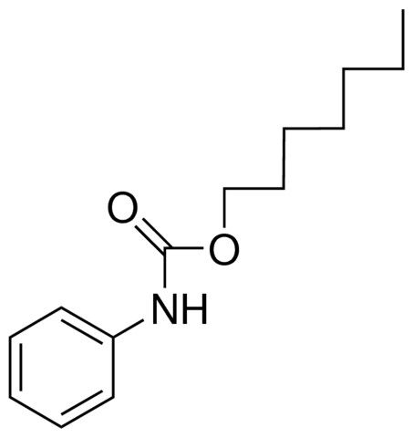 HEPTYL CARBANILATE