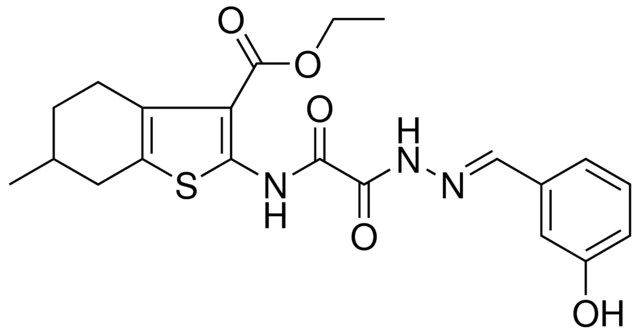 ETHYL 2-{[[(2E)-2-(3-HYDROXYBENZYLIDENE)HYDRAZINO](OXO)ACETYL]AMINO}-6-METHYL-4,5,6,7-TETRAHYDRO-1-BENZOTHIOPHENE-3-CARBOXYLATE