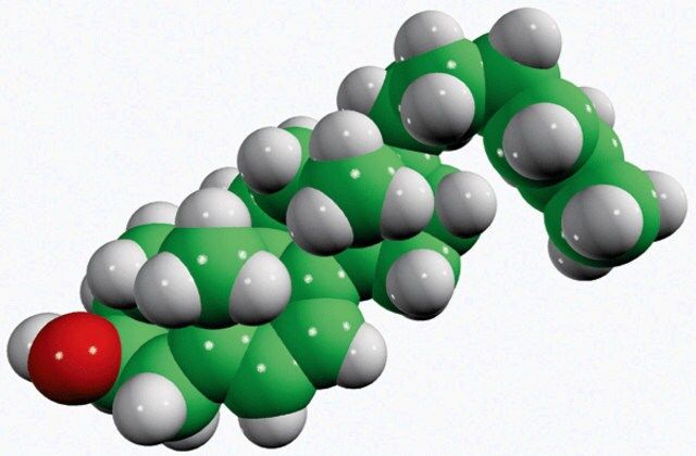 7-dehydrodesmosterol