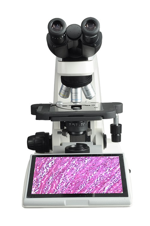 NLCD500数码生物显微镜图片