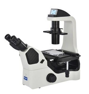 NIB600培养用倒置生物显微镜图片