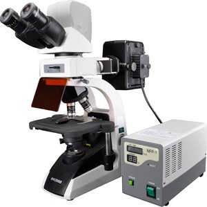BM2000荧光生物显微镜图片