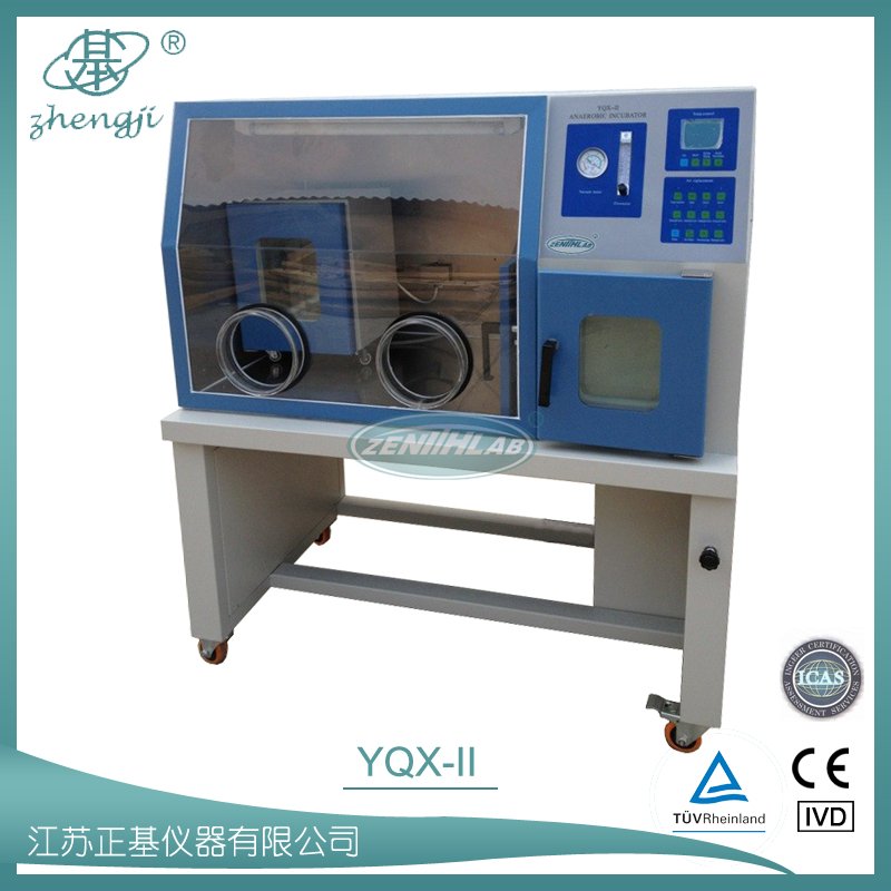 厌氧培养箱YQX-II图片