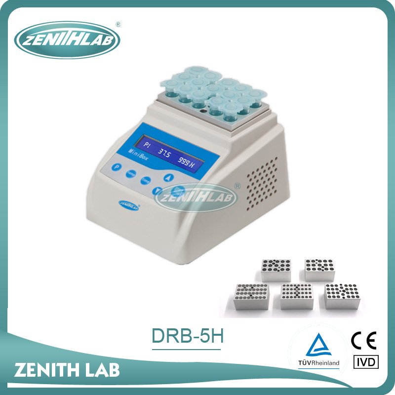 干式恒温器DRB-5H图片