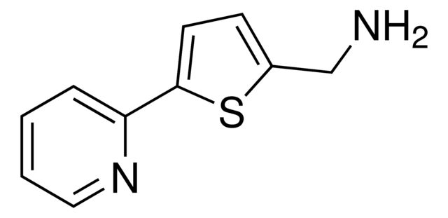 [5-(2-Pyridinyl)-2-thienyl]methanamine