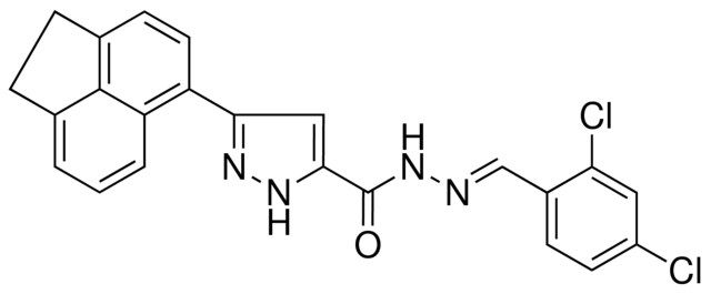 5-ACENAPHTHEN-5-YL-2H-PYRAZOLE-3CARBOXYLIC ACID (2,4-DI-CL-BENZYLIDENE)HYDRAZIDE