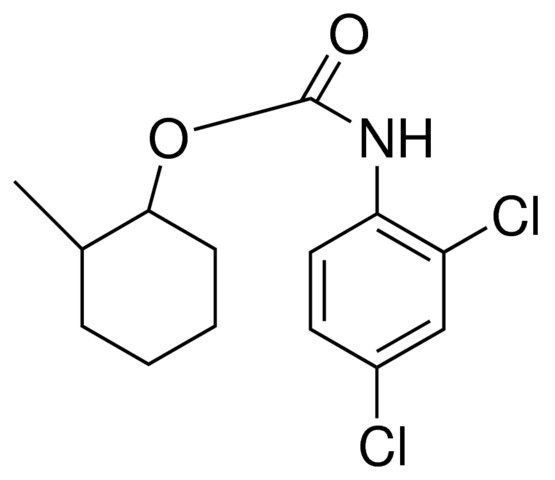2-METHYLCYCLOHEXYL N-(2,4-DICHLOROPHENYL)CARBAMATE