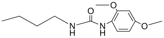 1-BUTYL-3-(2,4-DIMETHOXYPHENYL)UREA