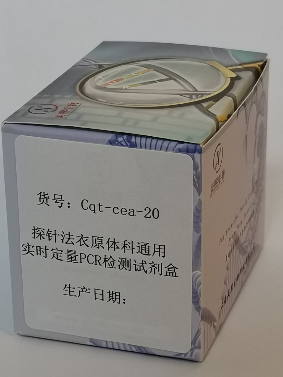 探针法衣原体科通用实时定量PCR检测试剂盒图片