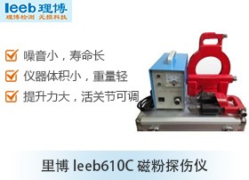 里博leeb610C磁粉探伤仪图片