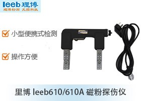 里博leeb610磁粉探伤仪图片