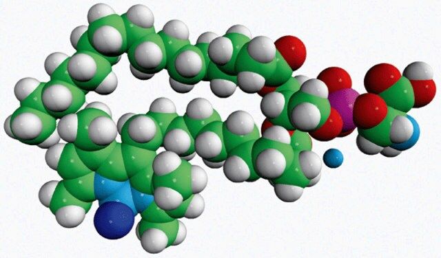 TopFluor<sup>®</sup> PS