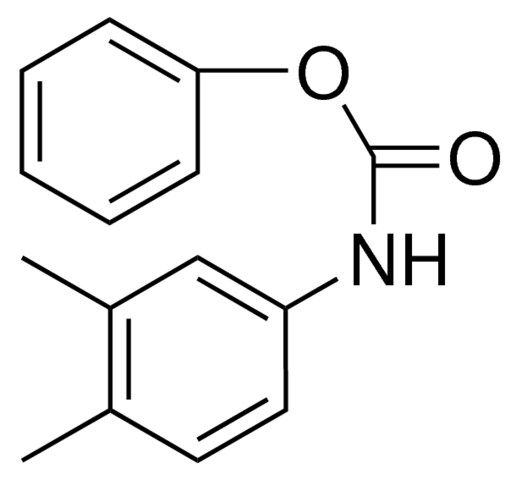 PHENYL N-(3,4-XYLYL)CARBAMATE