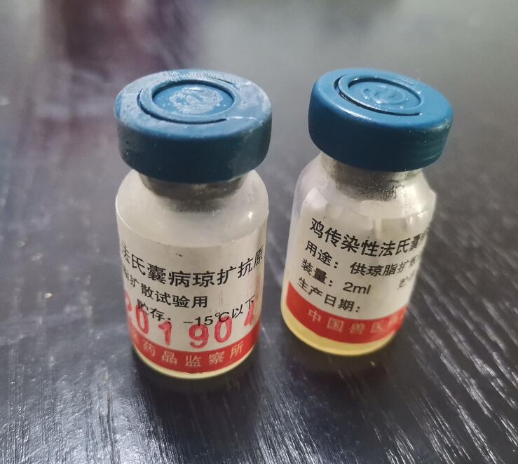 鸡传染性法氏囊病琼脂扩散试验抗原图片
