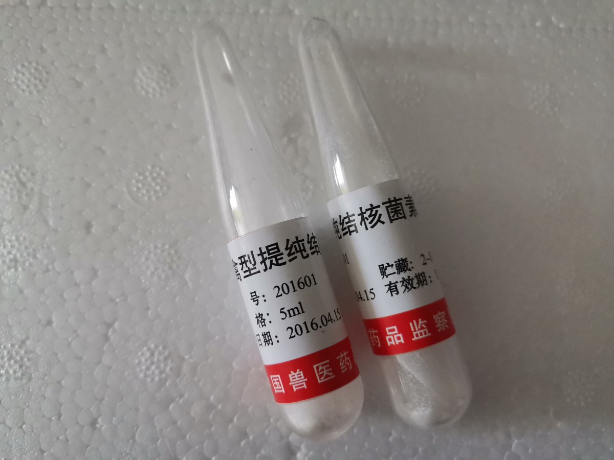 炭疽杆菌抗原图片