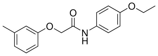 N-(4-ETHOXY-PHENYL)-2-M-TOLYLOXY-ACETAMIDE