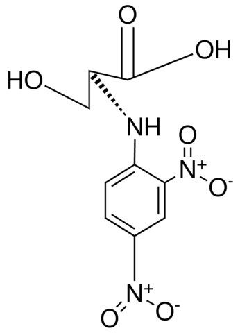N-(2,4-Dinitrophenyl)-L-serine