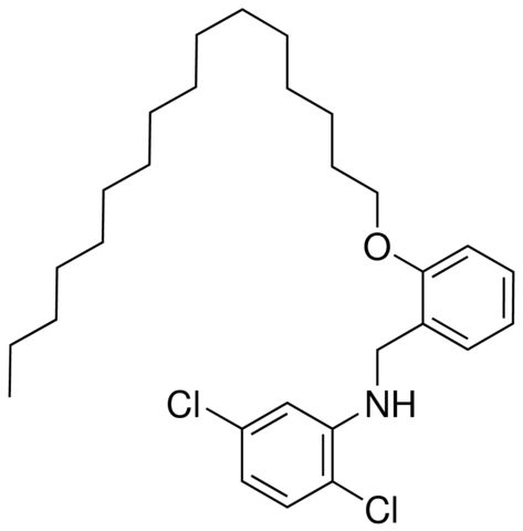 N-(2,5-DICHLOROPHENYL)-2-(HEXADECYLOXY)-BENZYLAMINE
