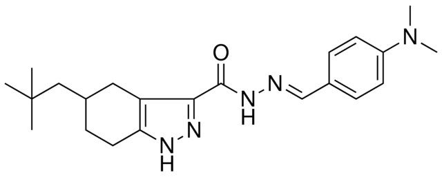 N'-{(E)-[4-(DIMETHYLAMINO)PHENYL]METHYLIDENE}-5-NEOPENTYL-4,5,6,7-TETRAHYDRO-1H-INDAZOLE-3-CARBOHYDRAZIDE