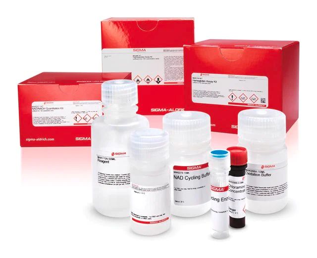 Fluorometric Intracellular Ros Kit