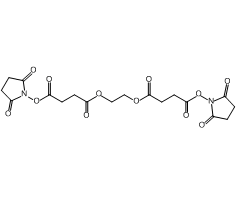 Ethylene glycol-bis(succinic acid N-hydroxysuccinimide ester)