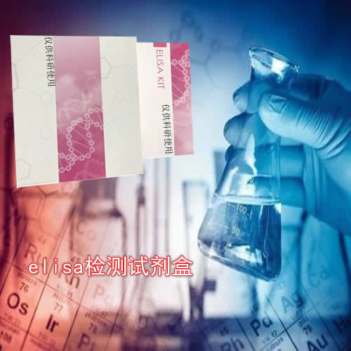 HDAC2组蛋白脱乙酰化酶2ELISA试剂盒图片