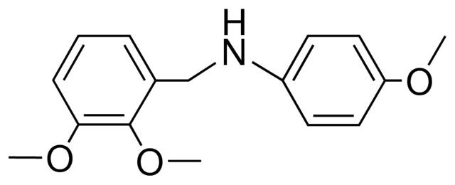 2,3-DIMETHOXY-N-(4-METHOXYPHENYL)BENZYLAMINE