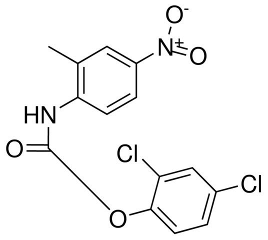 2,4-DICHLOROPHENYL N-(2-METHYL-4-NITROPHENYL)CARBAMATE