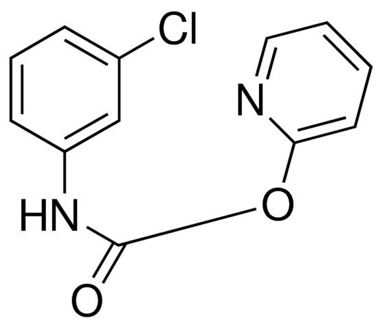2-PYRIDYL N-(3-CHLOROPHENYL)CARBAMATE