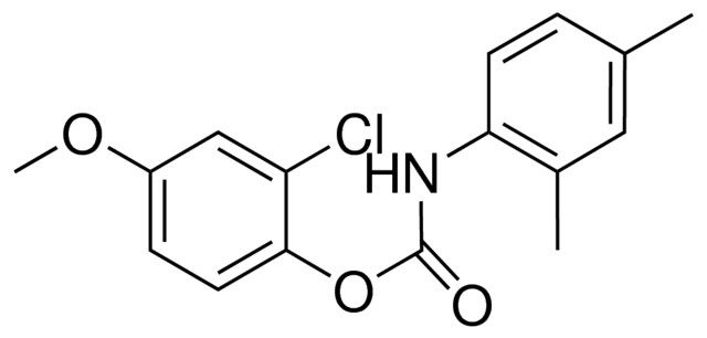 2-CHLORO-4-METHOXYPHENYL N-(2,4-DIMETHYLPHENYL)CARBAMATE