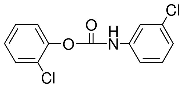 2-CHLOROPHENYL N-(3-CHLOROPHENYL)CARBAMATE