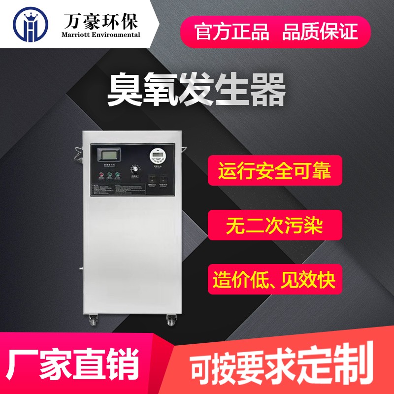 万豪环保臭氧发生器图片