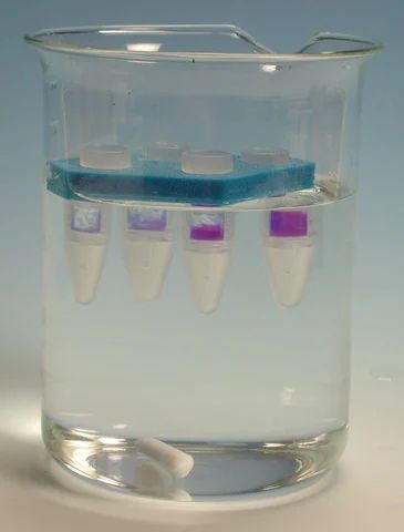 Pur-A-Lyzer<sup>TM</sup> Floating Racks for Dialysis