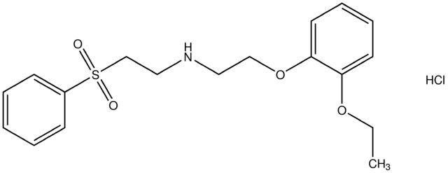 N-[2-(2-ethoxyphenoxy)ethyl]-N-[2-(phenylsulfonyl)ethyl]amine hydrochloride