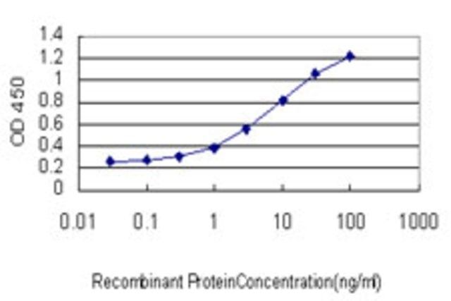 Monoclonal Anti-CILP antibody produced in mouse