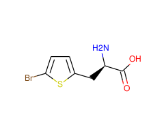 (R)-2-Amino-3-(5-bromothiophen-2-yl)propanoic acid