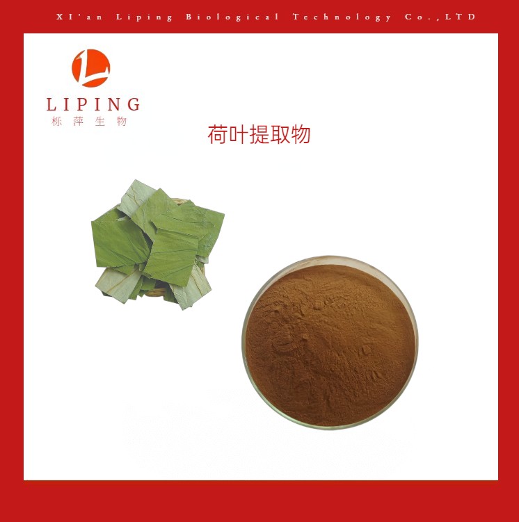 荷叶提取物图片