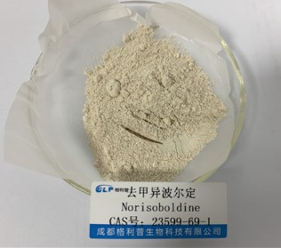去甲异波尔定图片
