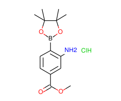 Methyl 3-amino-4-(4,4,5,5-tetramethyl-1,3,2-dioxaborolan-2-yl)benzoate hydrochloride