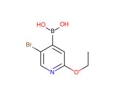 (5-Bromo-2-ethoxypyridin-4-yl)boronic acid