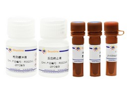 碱性磷酸酶检测试剂盒(PNP比色法)图片