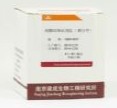 总蛋白定量测定试剂盒(BCA比色法)图片