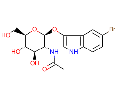 Blue-N-acetyl-b D-glucosamide