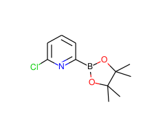 6-Chloropyridine-2-boronic acid pinacol ester