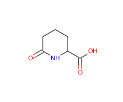 6-oxo-pipecolinic acid