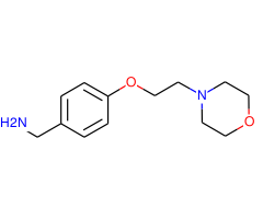4-(2-Morpholin-4-yl-ethoxy)benzylamine
