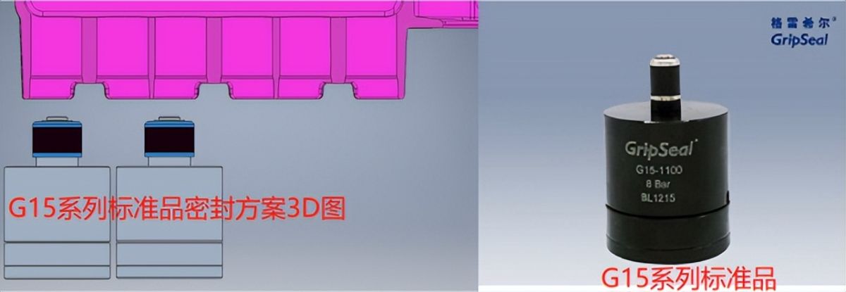 G15系列标准品密封方案3D图及实物图