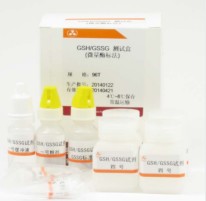 海藻糖酶测试盒(比色法)图片