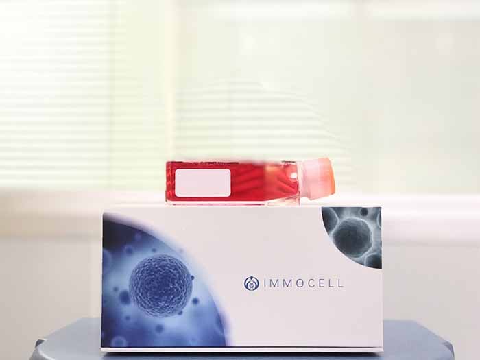 MDA-kb2人正常乳腺细胞(STR鉴定正确)图片